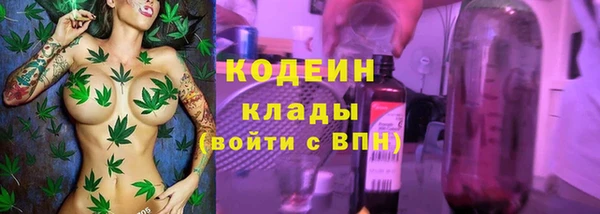 ПСИЛОЦИБИНОВЫЕ ГРИБЫ Няндома