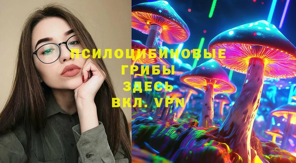 ПСИЛОЦИБИНОВЫЕ ГРИБЫ Няндома