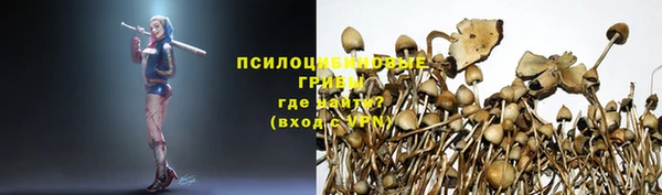 ПСИЛОЦИБИНОВЫЕ ГРИБЫ Няндома