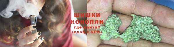 ешки Осинники