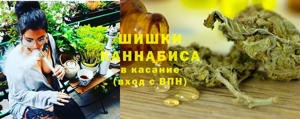 ПСИЛОЦИБИНОВЫЕ ГРИБЫ Няндома