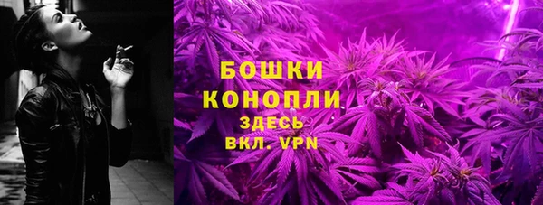 ПСИЛОЦИБИНОВЫЕ ГРИБЫ Няндома