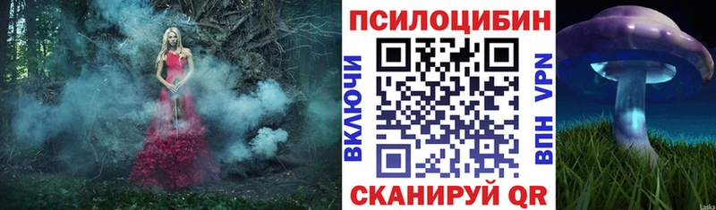 Галлюциногенные грибы Psilocybe Котлас