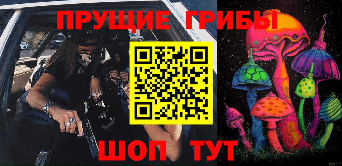 Галлюциногенные грибы Psilocybe Котлас