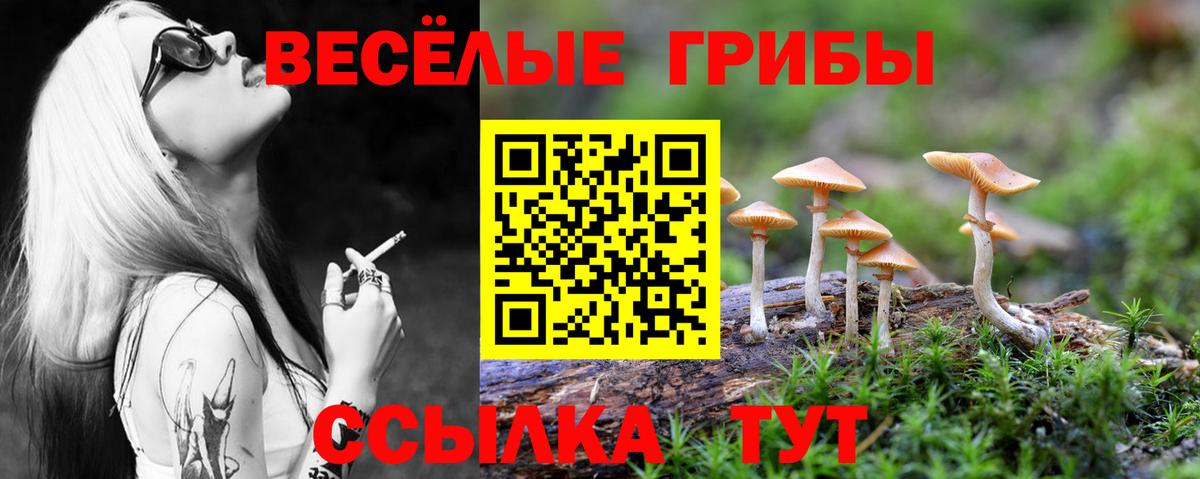 Галлюциногенные грибы GOLDEN TEACHER Котлас