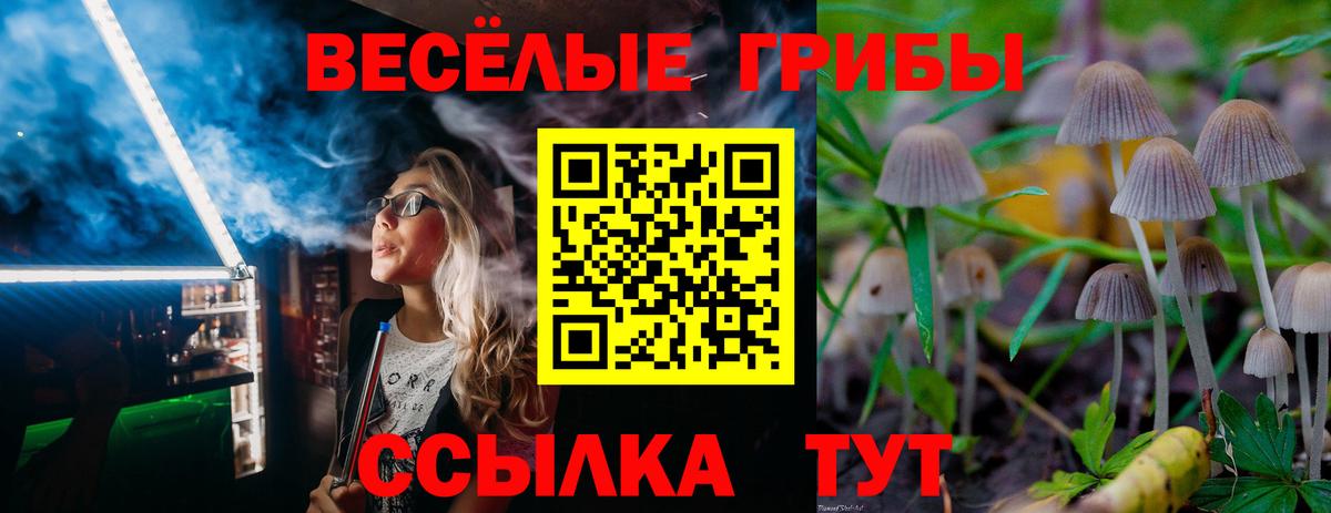 Псилоцибиновые грибы Magic Shrooms  Котлас  Псилоцибиновые грибы мухоморы 