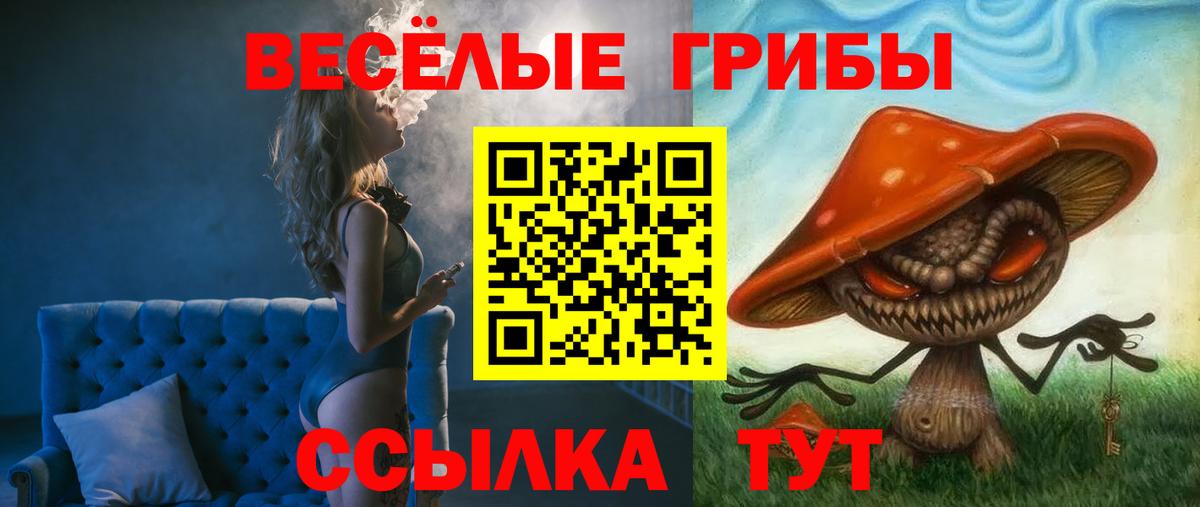 Галлюциногенные грибы Psilocybine cubensis  Псилоцибиновые грибы мицелий  Котлас  Вход с VPN 