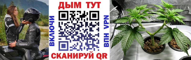 Конопля тримм  мега ССЫЛКА  даркнет состав  Котлас 